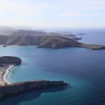 Mexico Sea of Cortez: 2 to 3 Tank Dive – 1 Day Trip (August to October)